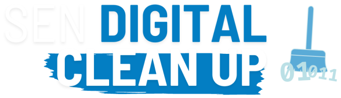 Logo SEN Digital Cleanup